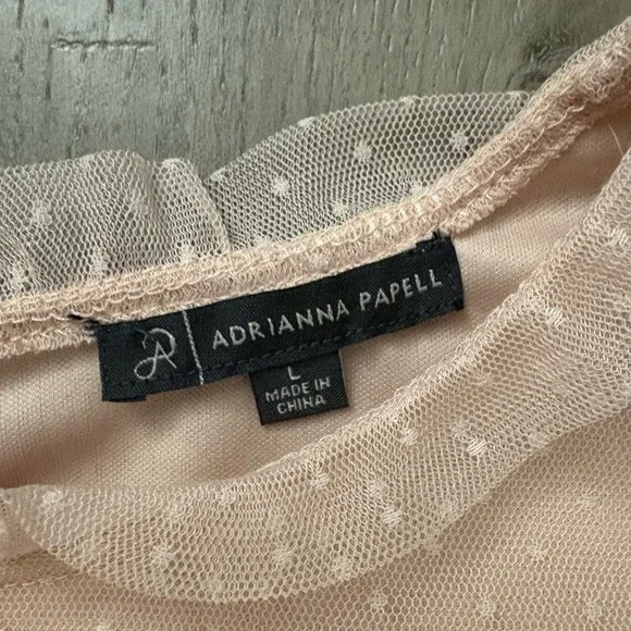 Adrianna Papell Blush Swiss Dot Sleeveless Blouse L – Ruffle Mesh Trim Top - Picture 4 of 9